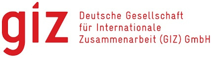 GIZ logo